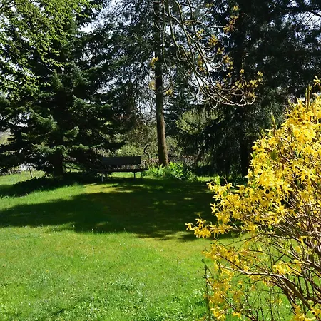 In Thueringen In Waldnaehe, Cleaning Included *